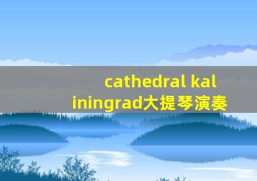 cathedral kaliningrad大提琴演奏